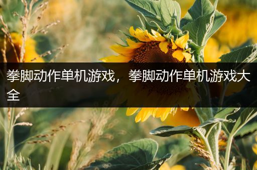 拳脚动作单机游戏，拳脚动作单机游戏大全