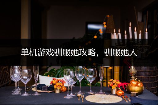 单机游戏驯服她攻略，驯服她人