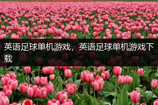 英语足球单机游戏，英语足球单机游戏下载