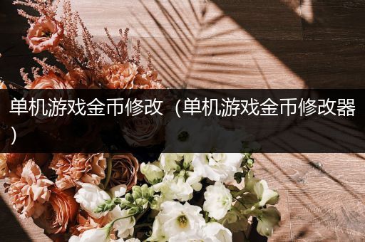 单机游戏金币修改（单机游戏金币修改器）