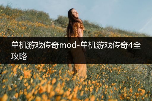单机游戏传奇mod-单机游戏传奇4全攻略