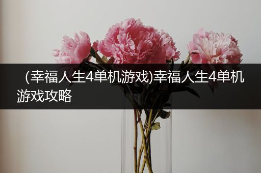 （幸福人生4单机游戏)幸福人生4单机游戏攻略