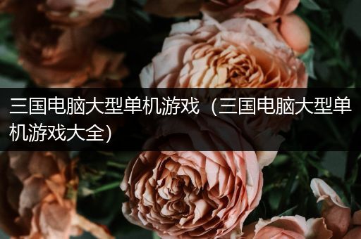 三国电脑大型单机游戏（三国电脑大型单机游戏大全）