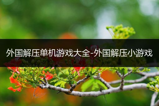外国解压单机游戏大全-外国解压小游戏