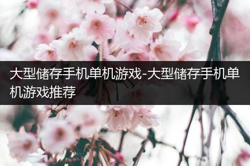 大型储存手机单机游戏-大型储存手机单机游戏推荐
