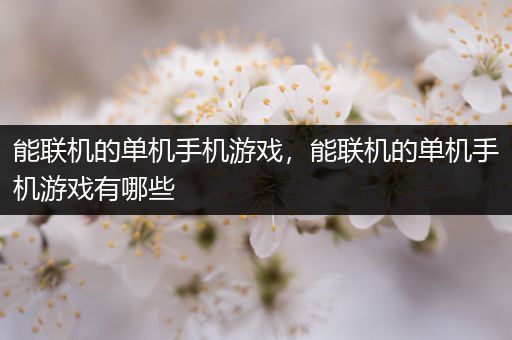 能联机的单机手机游戏，能联机的单机手机游戏有哪些