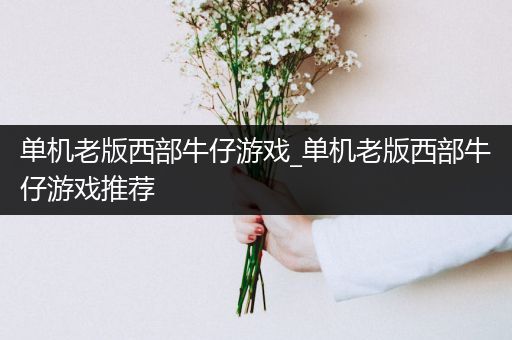 单机老版西部牛仔游戏_单机老版西部牛仔游戏推荐
