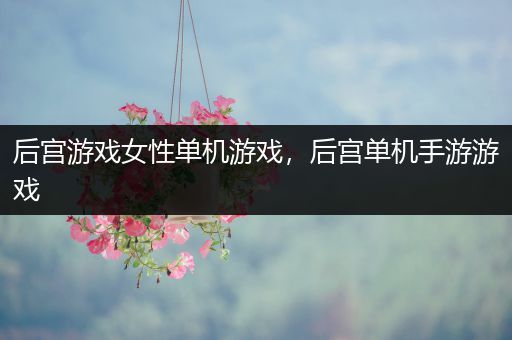 后宫游戏女性单机游戏，后宫单机手游游戏