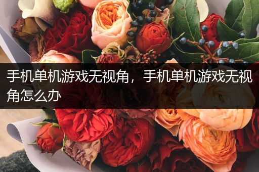 手机单机游戏无视角，手机单机游戏无视角怎么办