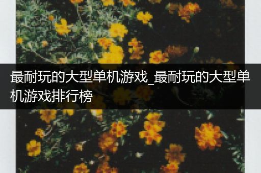 最耐玩的大型单机游戏_最耐玩的大型单机游戏排行榜