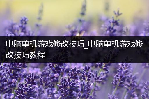 电脑单机游戏修改技巧_电脑单机游戏修改技巧教程