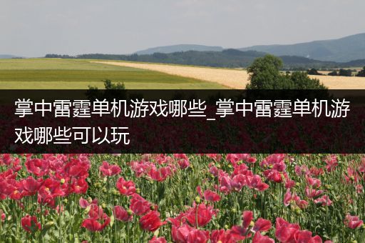 掌中雷霆单机游戏哪些_掌中雷霆单机游戏哪些可以玩