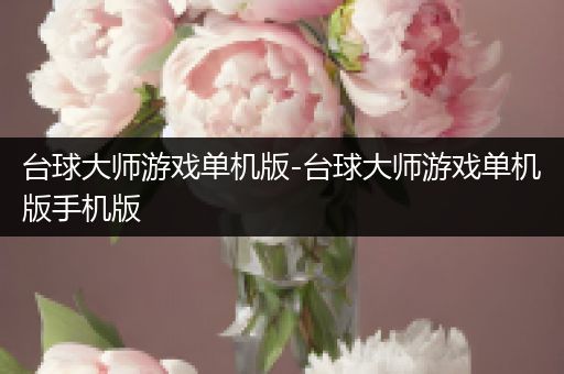 台球大师游戏单机版-台球大师游戏单机版手机版