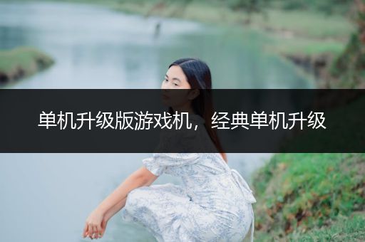单机升级版游戏机，经典单机升级