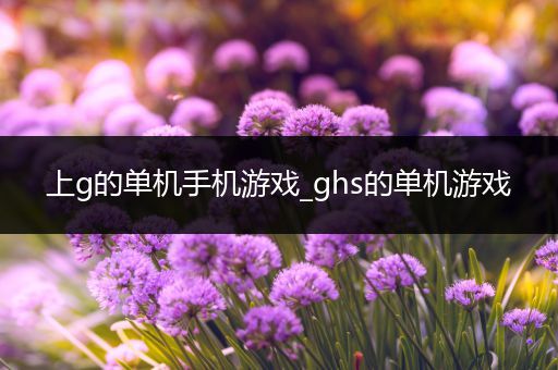 上g的单机手机游戏_ghs的单机游戏