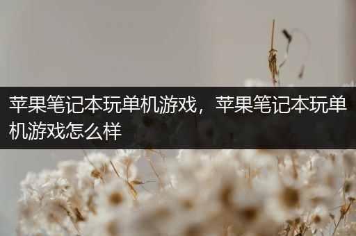苹果笔记本玩单机游戏，苹果笔记本玩单机游戏怎么样