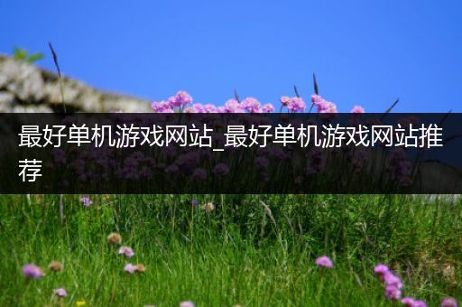 最好单机游戏网站_最好单机游戏网站推荐