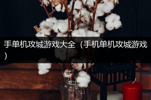 手单机攻城游戏大全（手机单机攻城游戏）