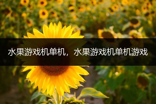 水果游戏机单机，水果游戏机单机游戏