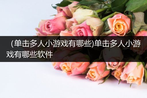 （单击多人小游戏有哪些)单击多人小游戏有哪些软件
