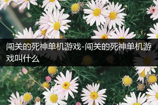 闯关的死神单机游戏-闯关的死神单机游戏叫什么