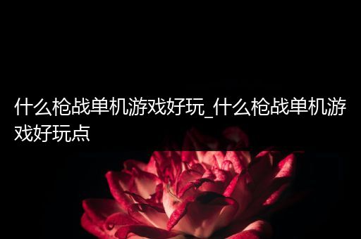 什么枪战单机游戏好玩_什么枪战单机游戏好玩点