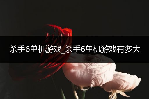杀手6单机游戏_杀手6单机游戏有多大