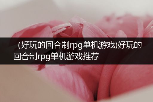 （好玩的回合制rpg单机游戏)好玩的回合制rpg单机游戏推荐
