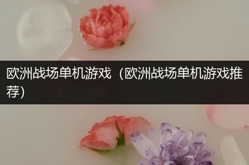 欧洲战场单机游戏（欧洲战场单机游戏推荐）
