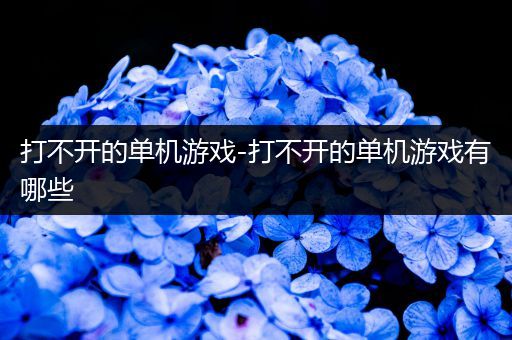 打不开的单机游戏-打不开的单机游戏有哪些