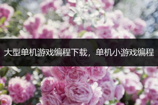 大型单机游戏编程下载，单机小游戏编程