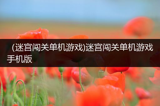 （迷宫闯关单机游戏)迷宫闯关单机游戏手机版