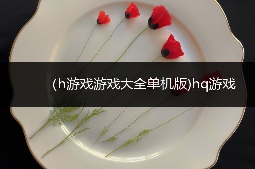 （h游戏游戏大全单机版)hq游戏