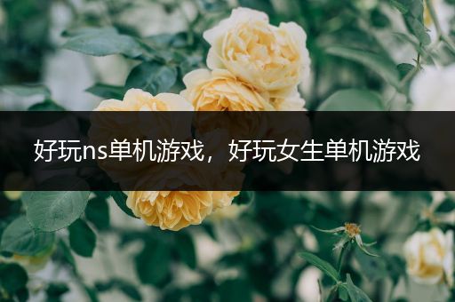 好玩ns单机游戏，好玩女生单机游戏