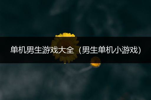 单机男生游戏大全（男生单机小游戏）