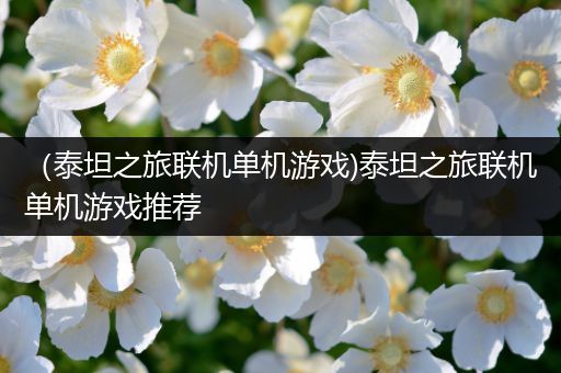 （泰坦之旅联机单机游戏)泰坦之旅联机单机游戏推荐