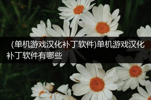 （单机游戏汉化补丁软件)单机游戏汉化补丁软件有哪些