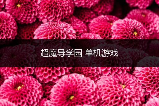 超魔导学园 单机游戏