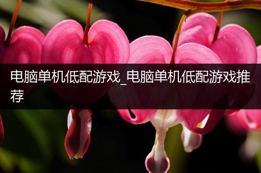 电脑单机低配游戏_电脑单机低配游戏推荐