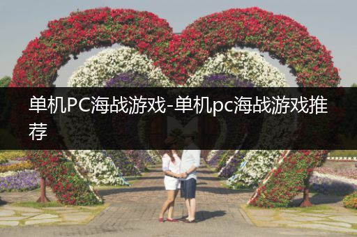 单机PC海战游戏-单机pc海战游戏推荐