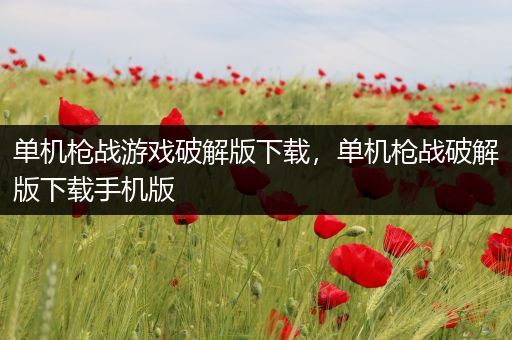 单机枪战游戏破解版下载，单机枪战破解版下载手机版