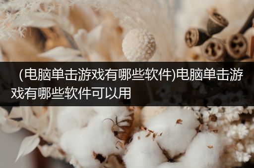 （电脑单击游戏有哪些软件)电脑单击游戏有哪些软件可以用