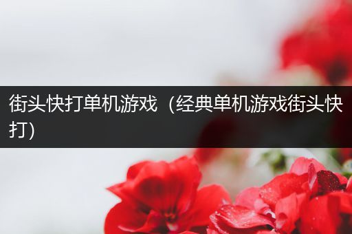 街头快打单机游戏（经典单机游戏街头快打）