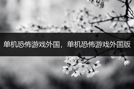 单机恐怖游戏外国，单机恐怖游戏外国版