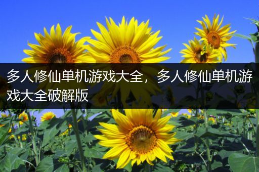 多人修仙单机游戏大全，多人修仙单机游戏大全破解版