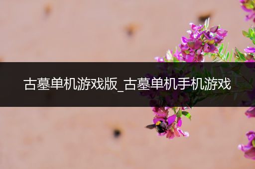 古墓单机游戏版_古墓单机手机游戏