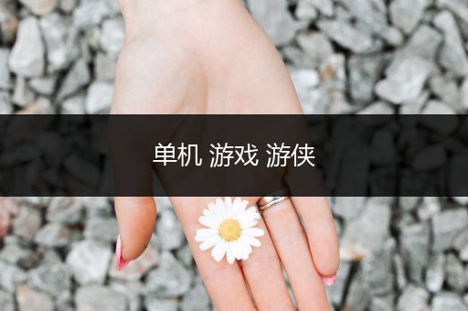 单机 游戏 游侠