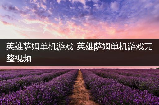 英雄萨姆单机游戏-英雄萨姆单机游戏完整视频