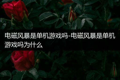 电磁风暴是单机游戏吗-电磁风暴是单机游戏吗为什么