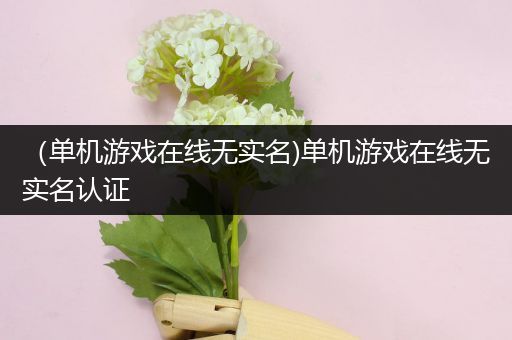 （单机游戏在线无实名)单机游戏在线无实名认证
